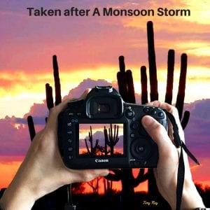 Monsoon Storm