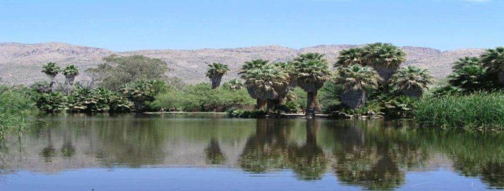Enjoy Agua Caliente Park in Tucson