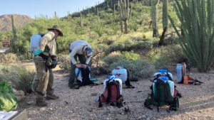 Saguaro National Park volunteers put on backpacks