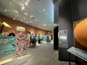 Flandrau Science Center is Full of Wonderful Exhibitions